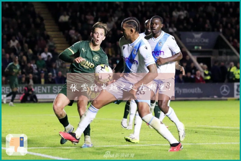 张雪的卓越之处在哪里？