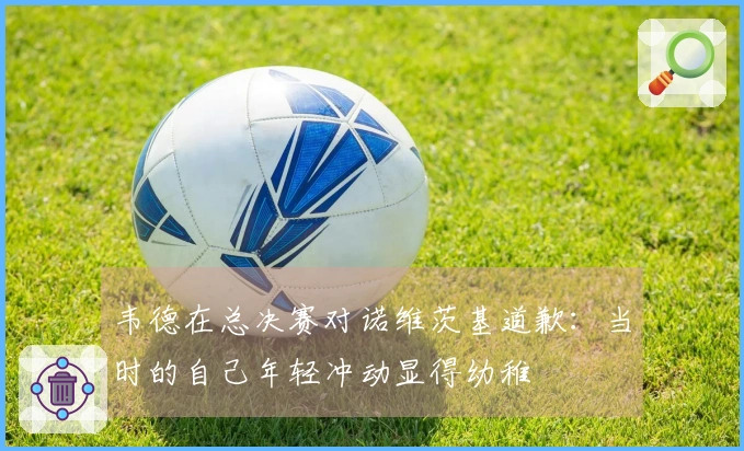 韦德在总决赛对诺维茨基道歉:当时的自己年轻冲动显得幼稚