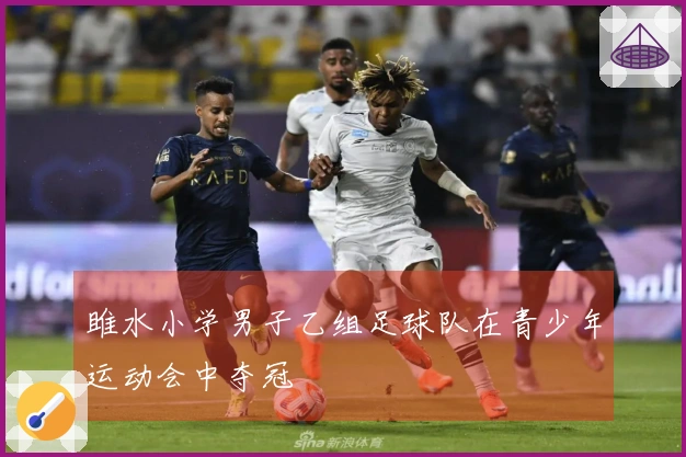 雎水小学男子乙组足球队在青少年运动会中夺冠