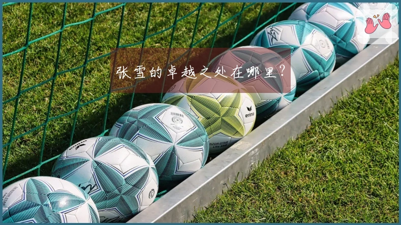 张雪的卓越之处在哪里？