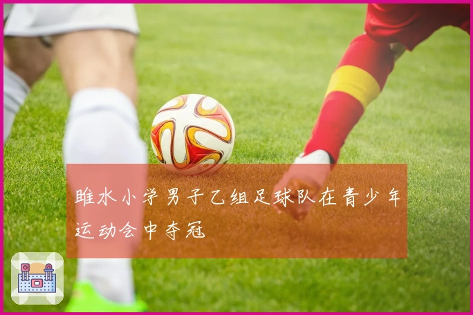 雎水小学男子乙组足球队在青少年运动会中夺冠