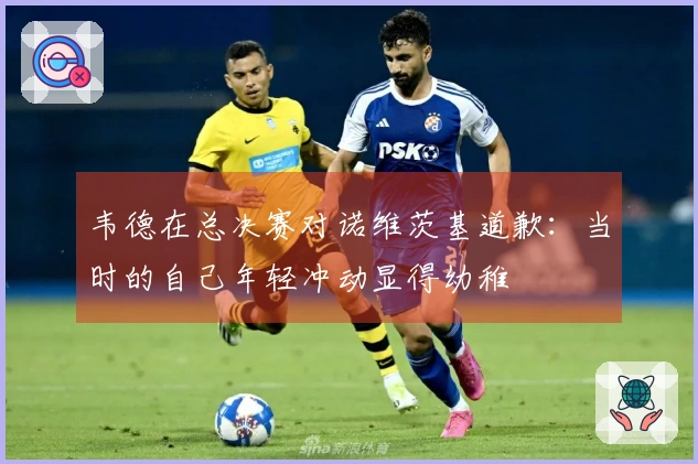 韦德在总决赛对诺维茨基道歉：当时的自己年轻冲动显得幼稚